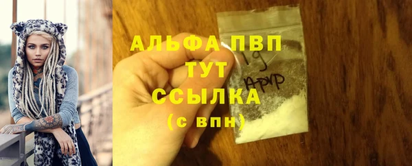 PSILOCYBIN Бронницы